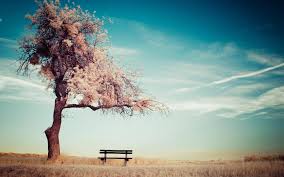 loneliness is often empty in the world of schizophrenia